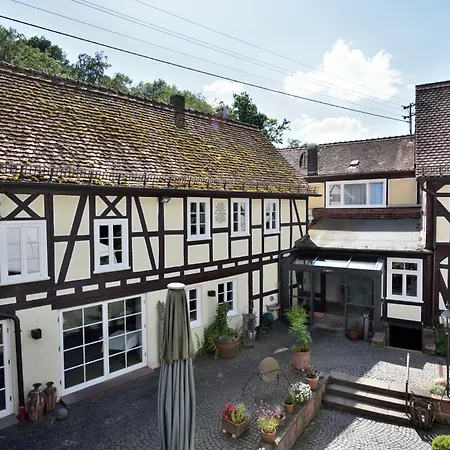 Hotel Dammuehle *