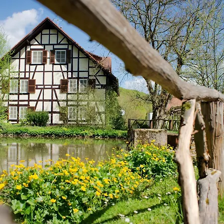 Dammuehle Hotel *