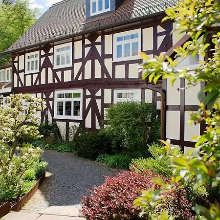 Hotel Dammuehle *