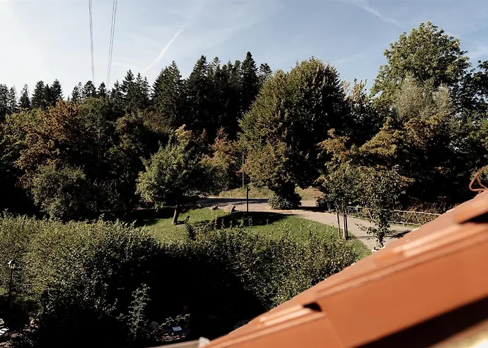 Dammühle Hotel Marburg